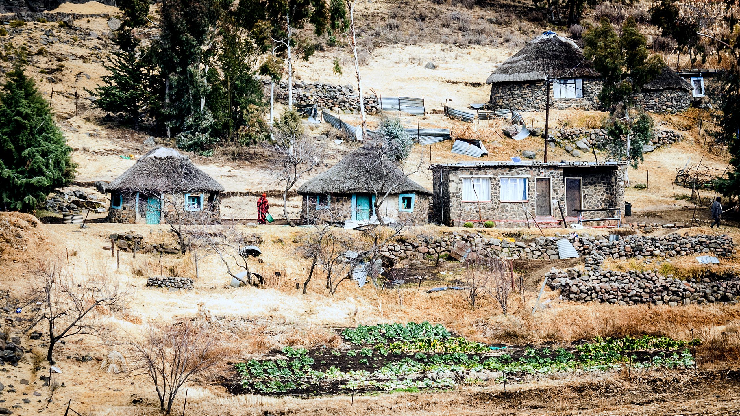 Communities lost arable grazing land, indigenous plants, and control of their natural resources when the dam was built.