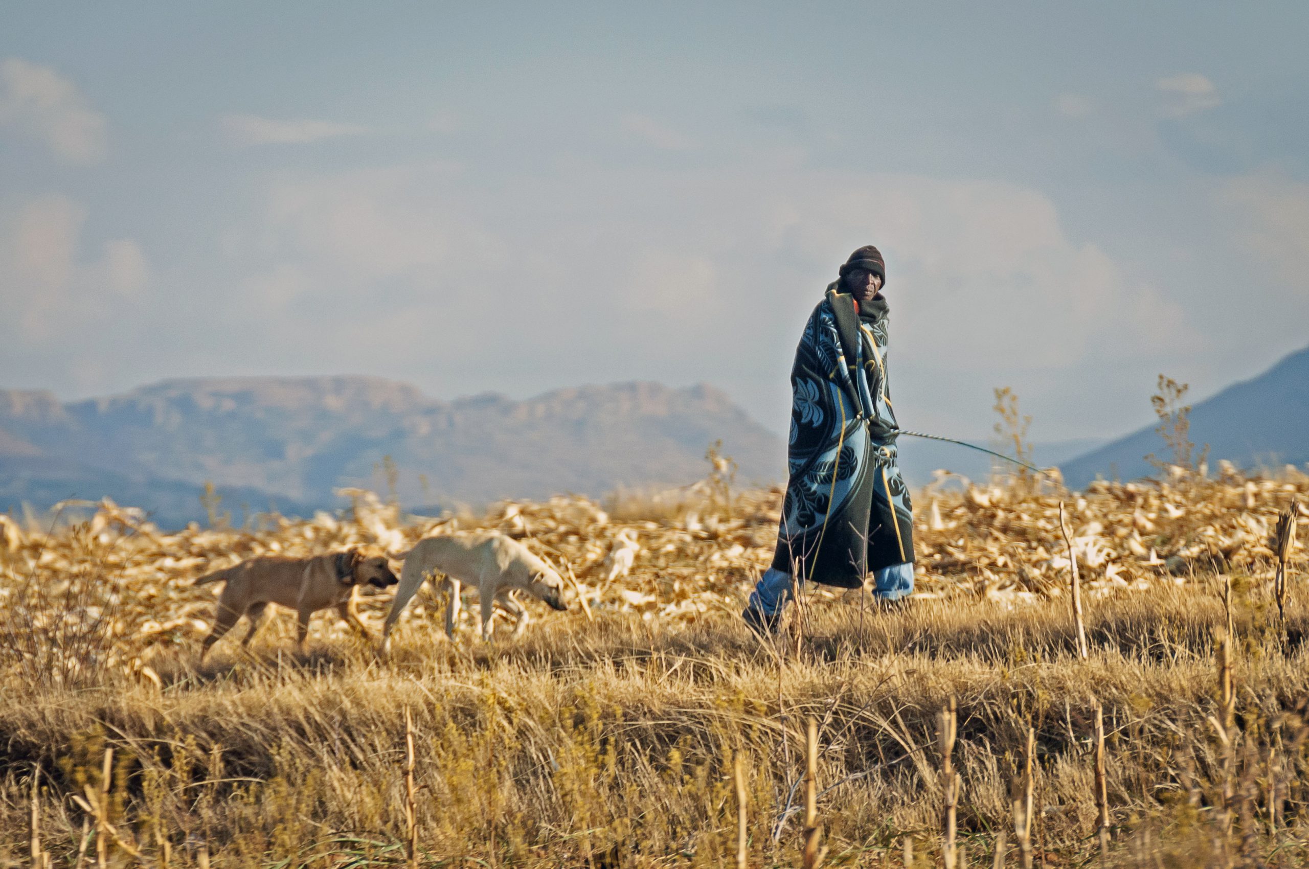 Wins have included restored access to safe drinking water and compensation for the loss of fodder and medicinal plants.